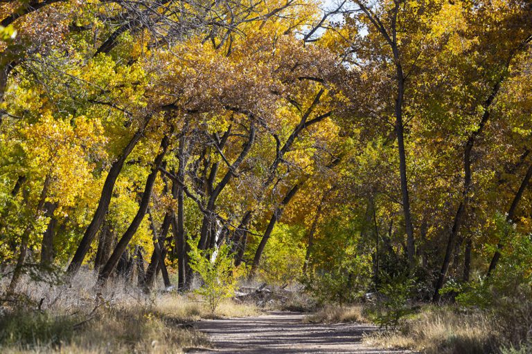 NMFWRI publishes Riparian Monitoring Handbook