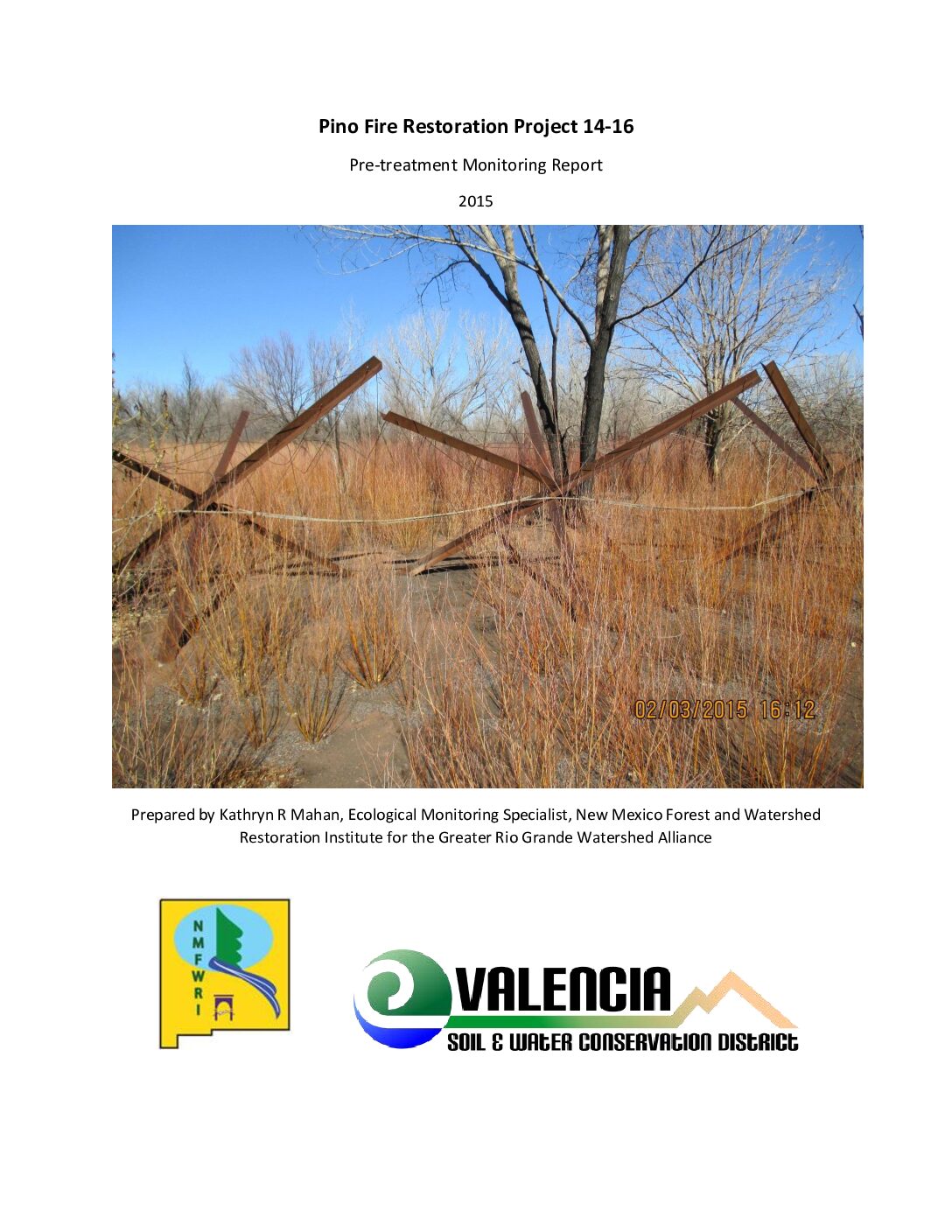 Pino Fire Restoration Project 14-16, Pre-treatment Monitoring Report, 2015