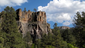 New Mexico Forest Action Plan Update Committee