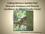 05 Linking Mexican Spotted Owl Recovery Guidance and Desired Conditions for Mixed Conifer Forest
