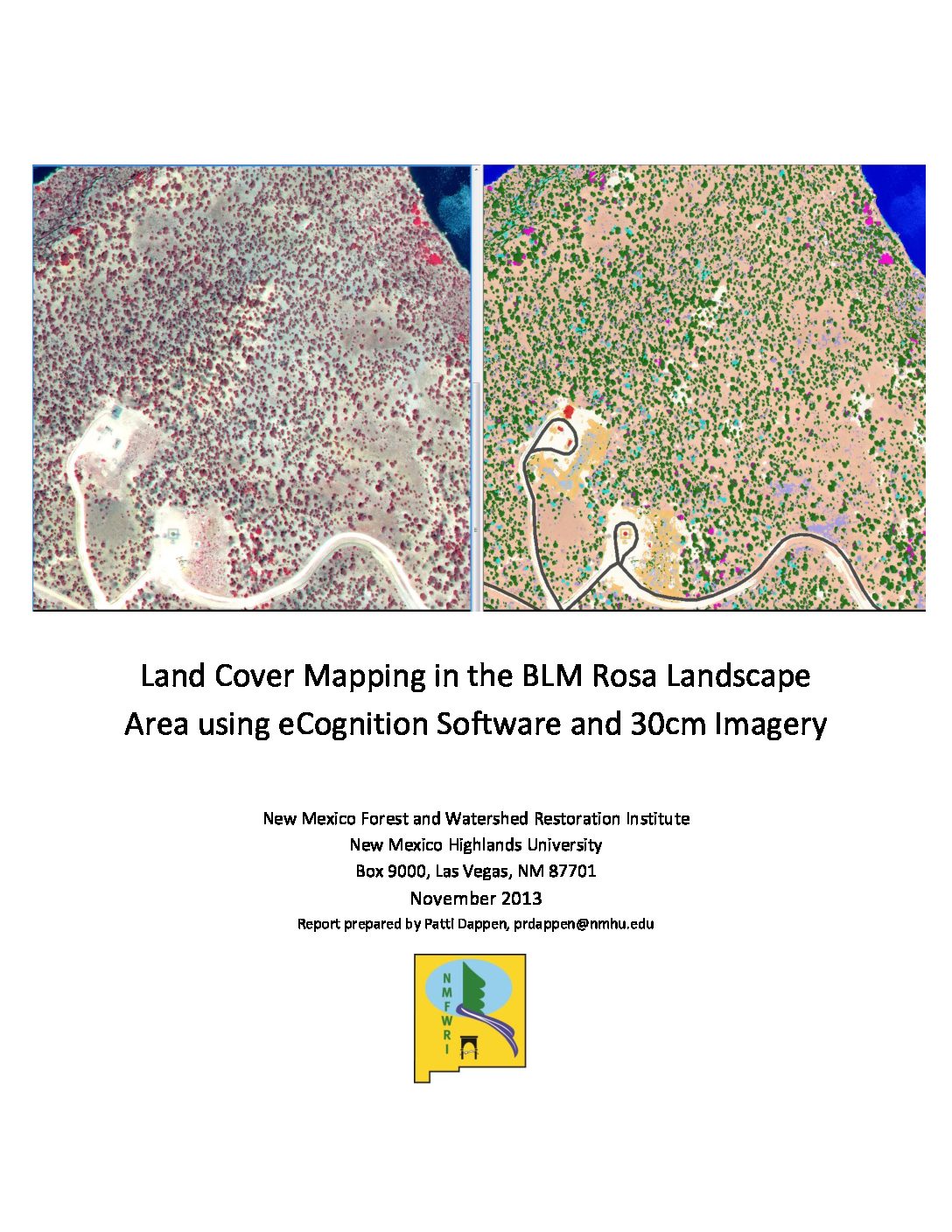 Land Cover Mapping in the BLM Rosa Landscape Area using eCognition Software and 30cm Imagery