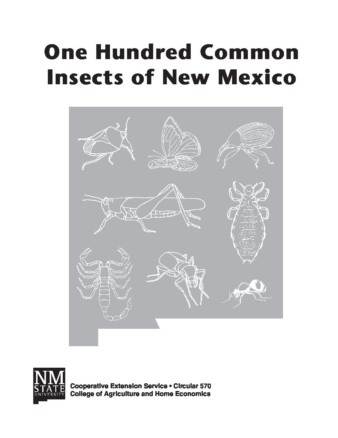 One Hundred Common Insects of New Mexico