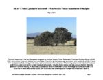 Piñon - Juniper Restoration Framework - New Mexico Forest Restoration Principles