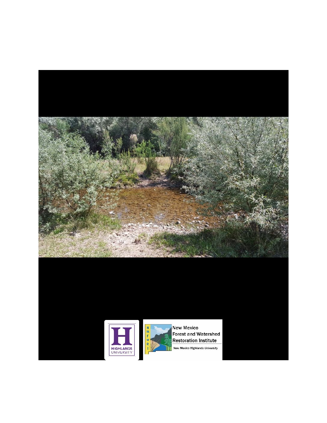 Literature Review of Four Invasive Phreatophytes and One Invasive Grass within the Bosque Forest of the Middle Rio Grande