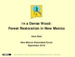 In a Dense Wood: Forest Restoration in New Mexico