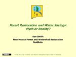 Forest Restoration and Water Savings: Myth or Reality?