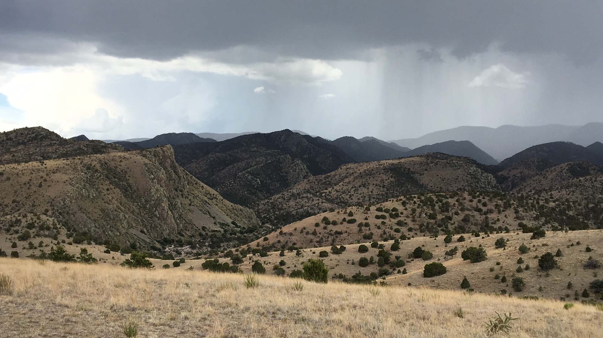 Magdalena Collaborative New Mexico Forest and Watershed Restoration