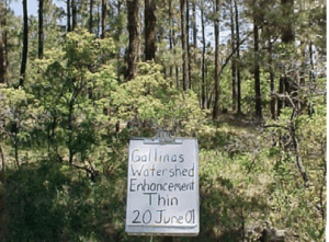 The Gallinas Partnership