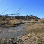 East Rio Arriba SWCD