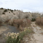 Taos SWCD