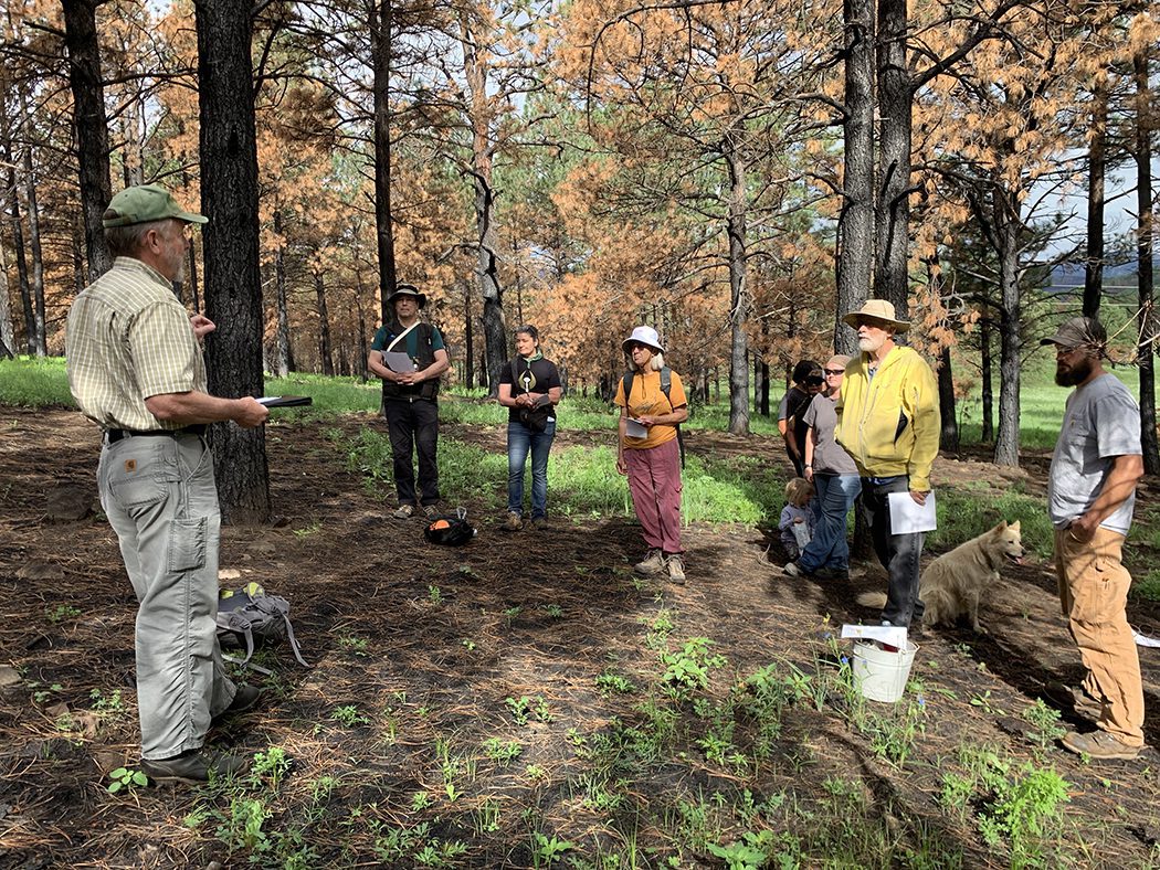 Post-fire Tree Thinning Workshop