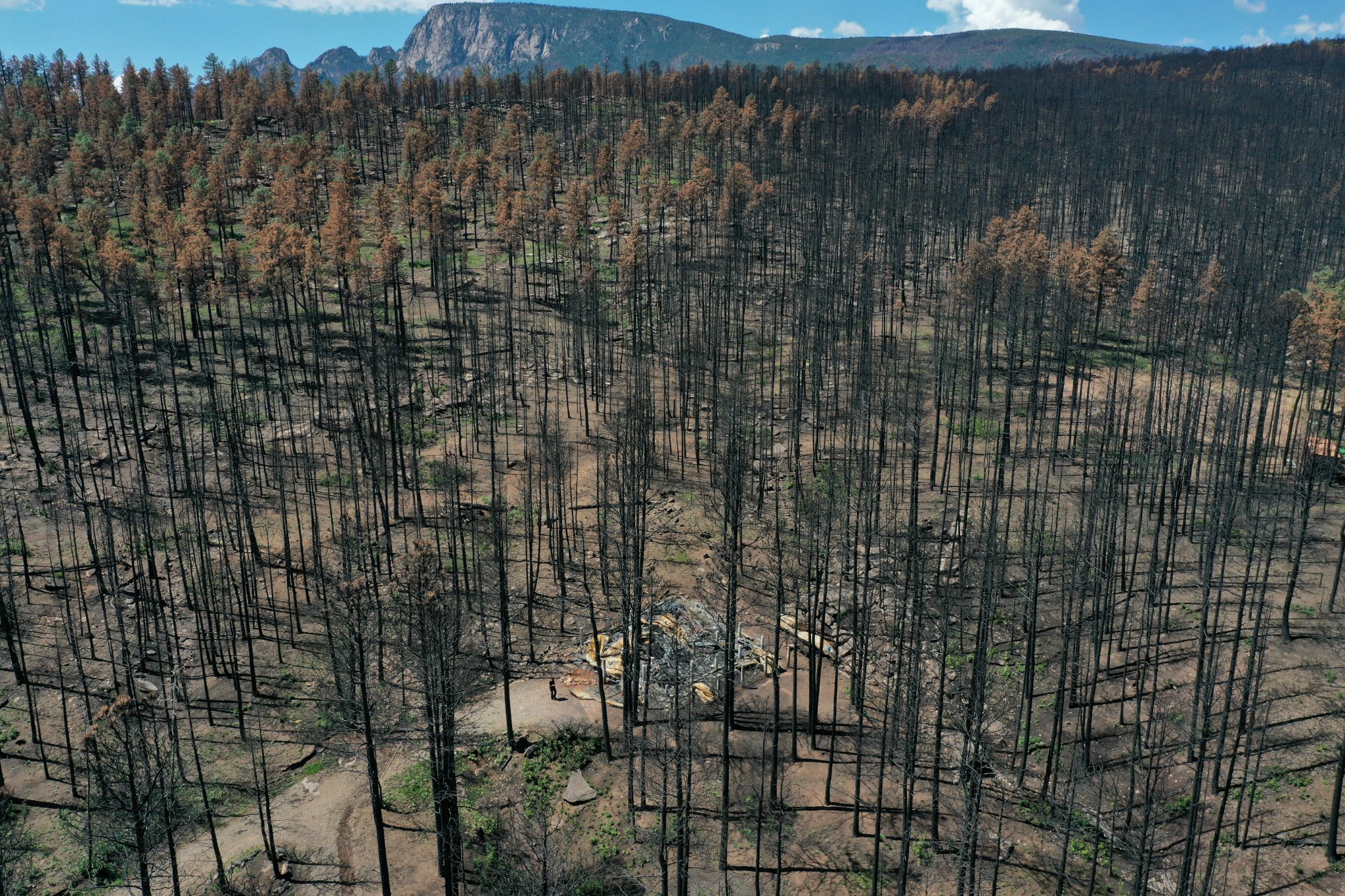 Hermit's Peak Calf Canyon Fire Resources - New Mexico Forest And ...