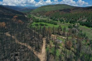 Hermit's Peak CC Post Fire