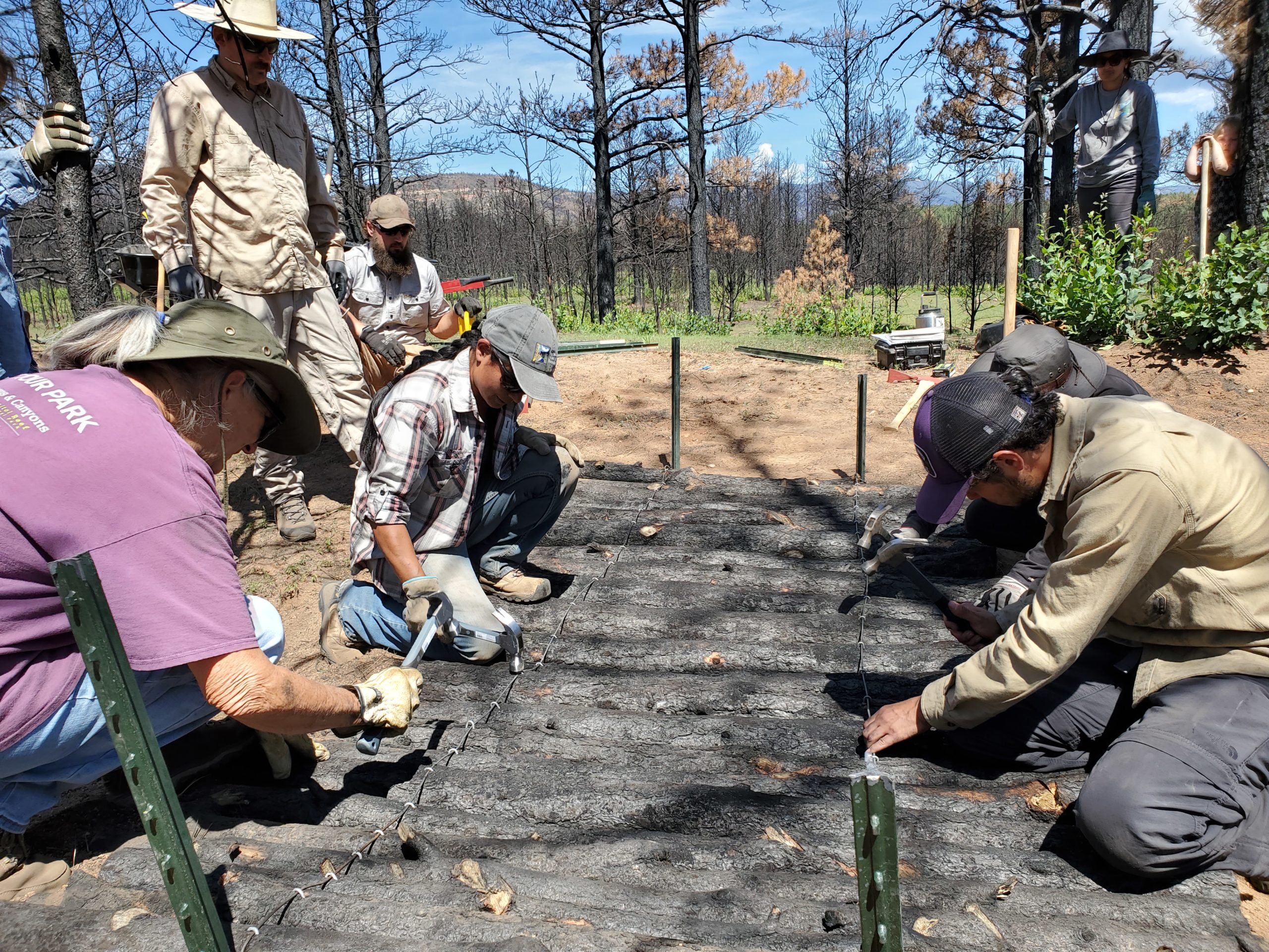 Erosion Control with Burned Trees Workshop