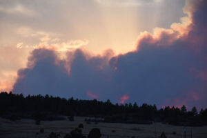 NMFWRI Monitoring in the Hermit’s Peak/Calf Canyon burn scar