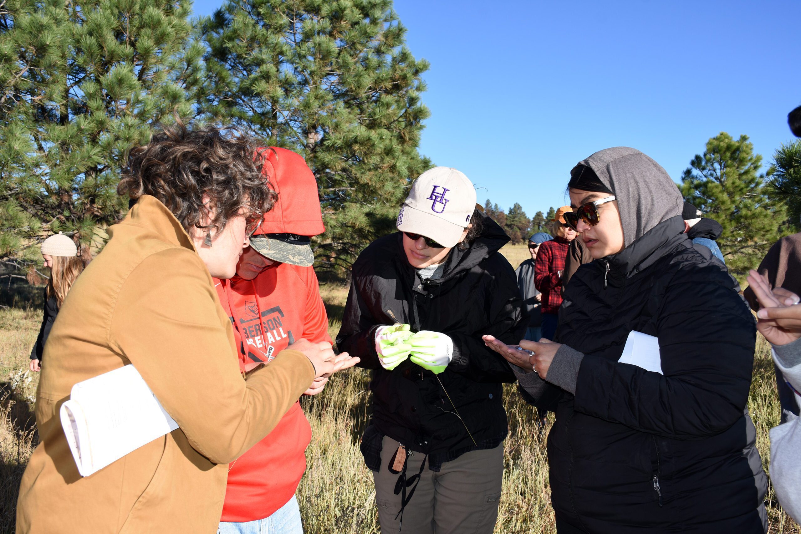 Native Seed ID and Collection