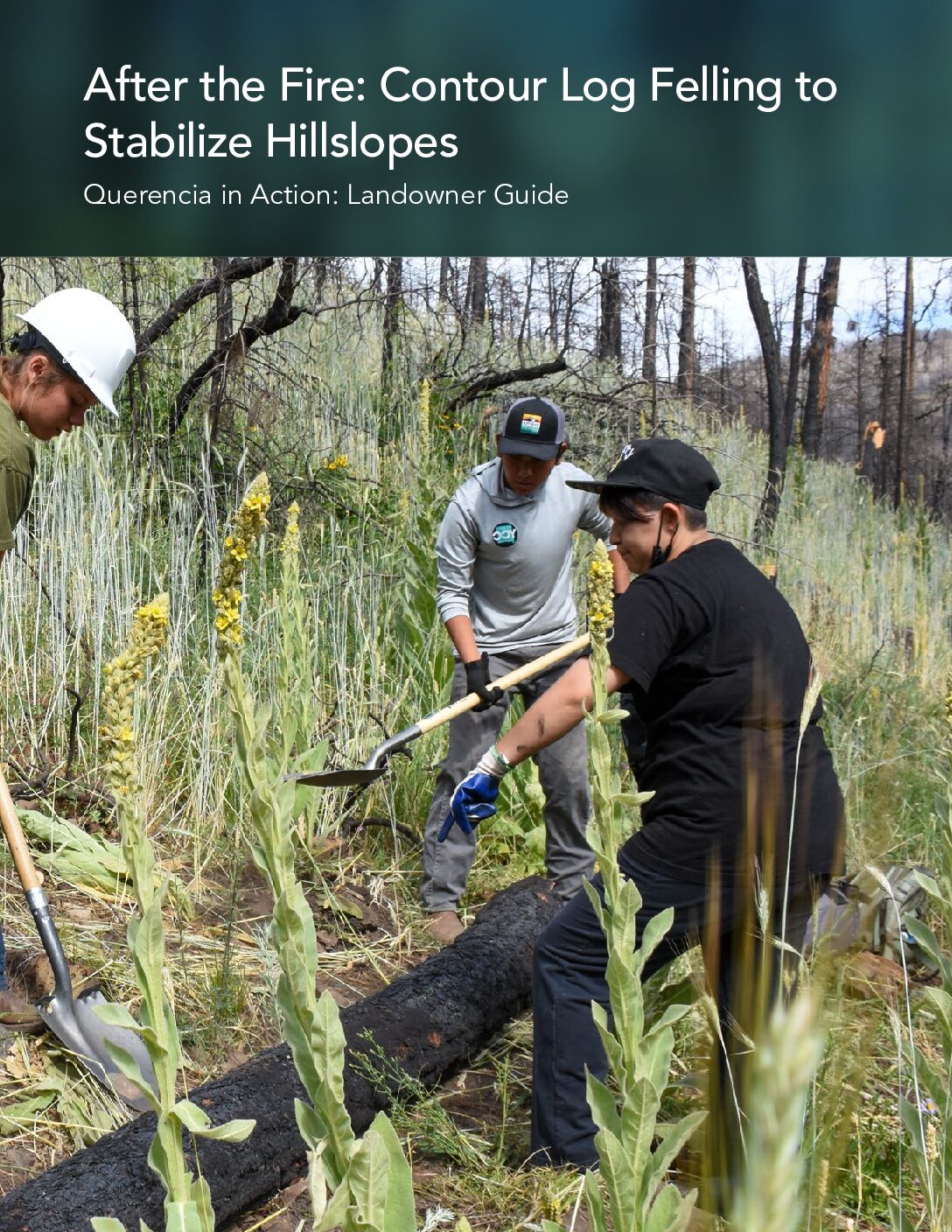 QIA Contour Log Felling