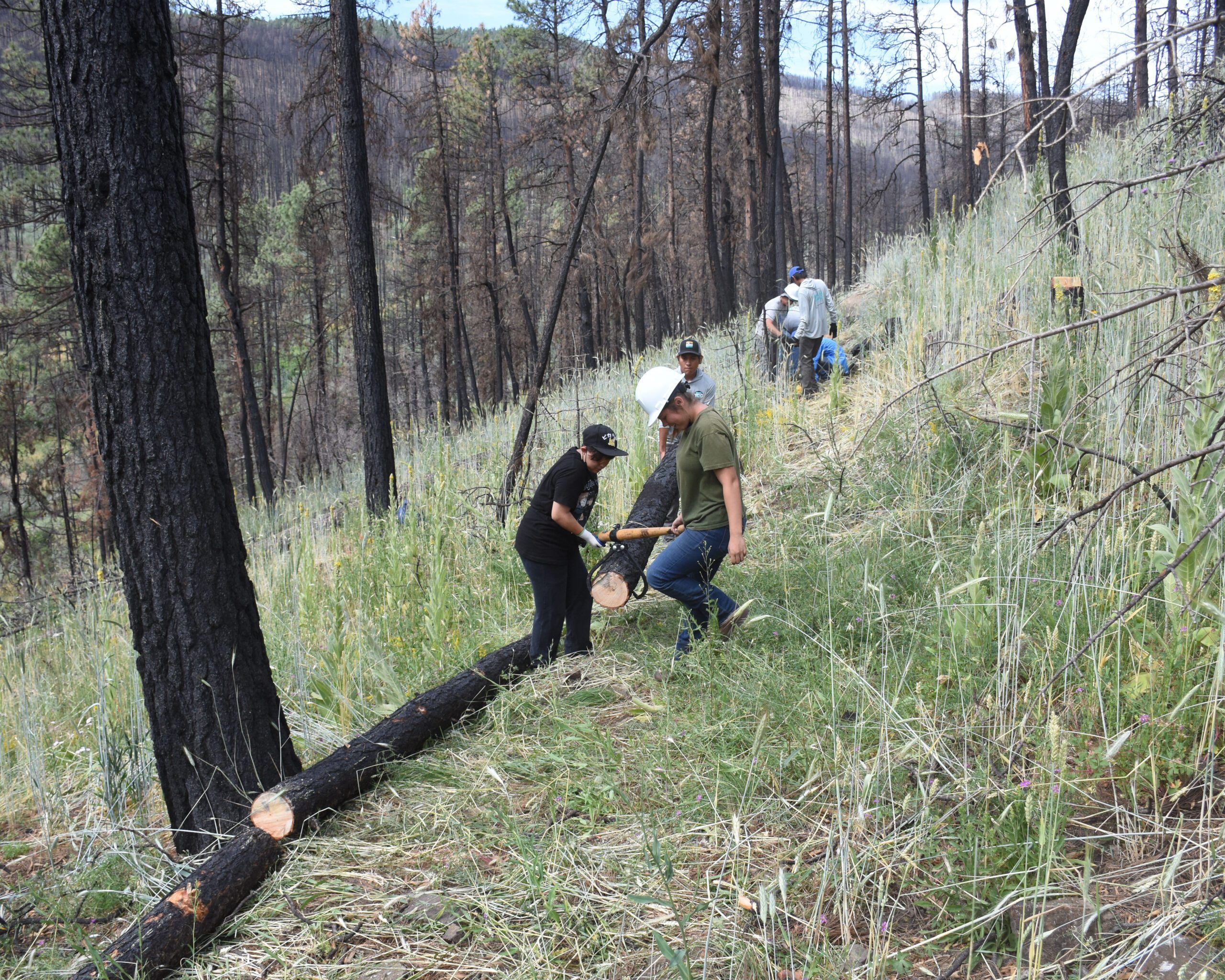 Contour Log Erosion Control Workshop