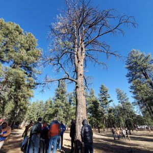 Bark Beetle Management Workshop