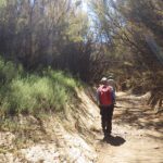 Riparian Ecological Monitoring