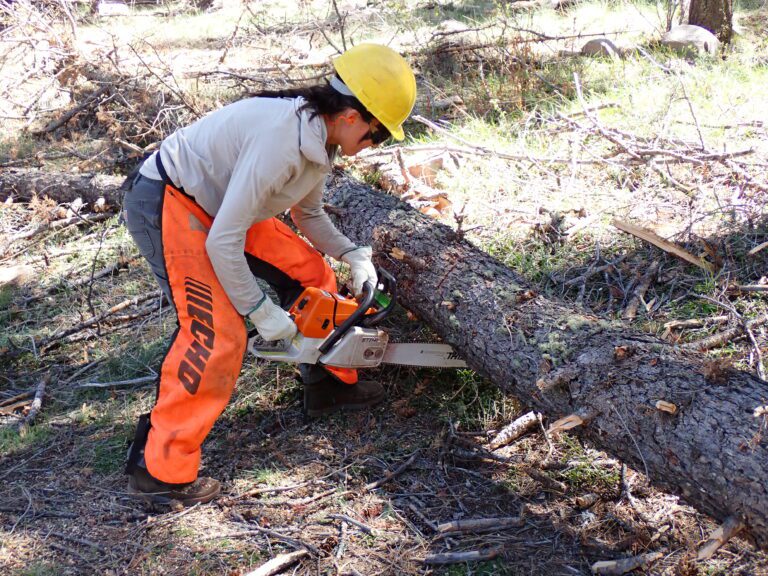 Working in the Woods 