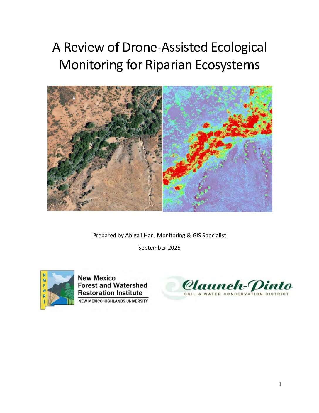 Drone Literature Review 2025 GRGWA