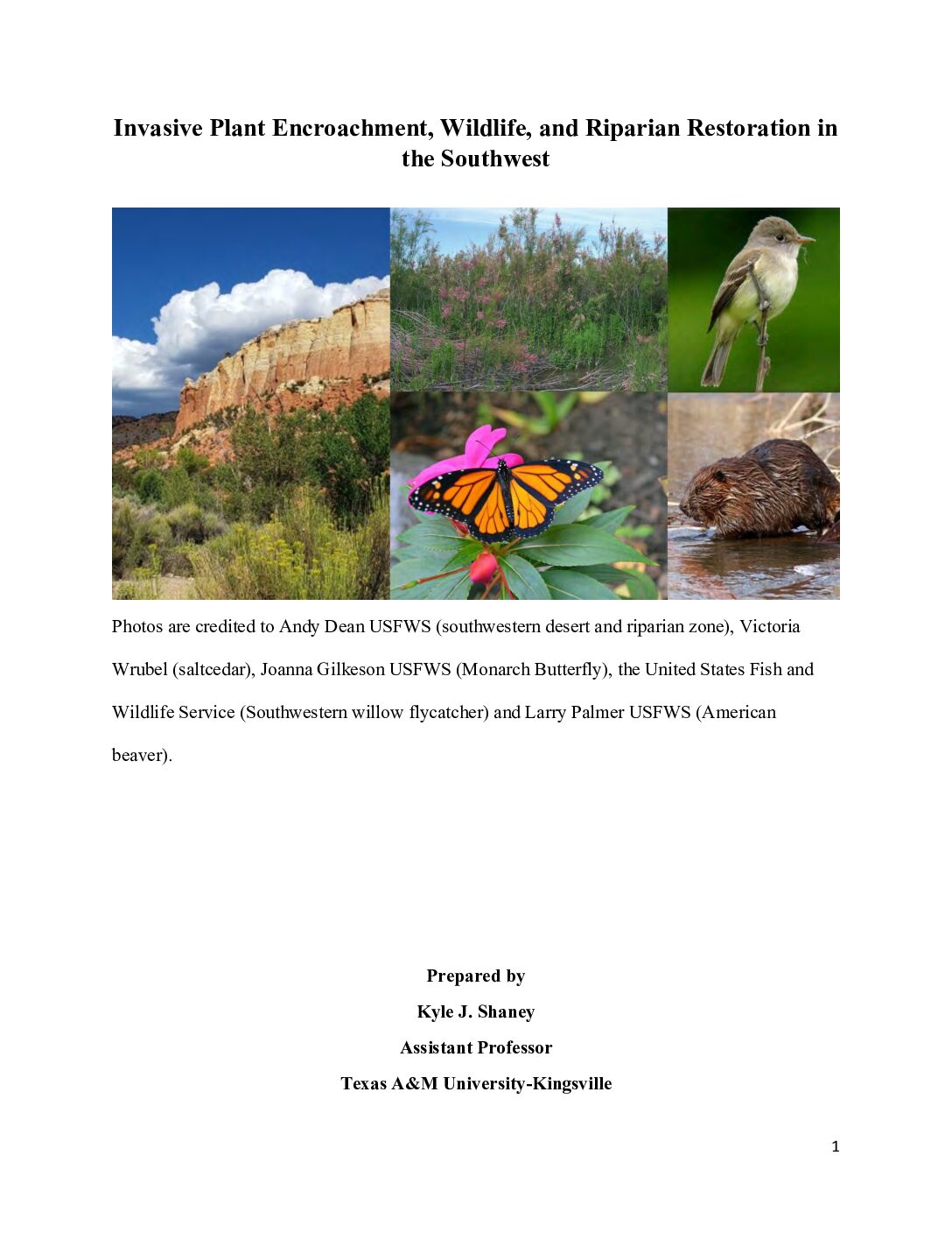 Impacts of Riparian Restoration on Wildlife