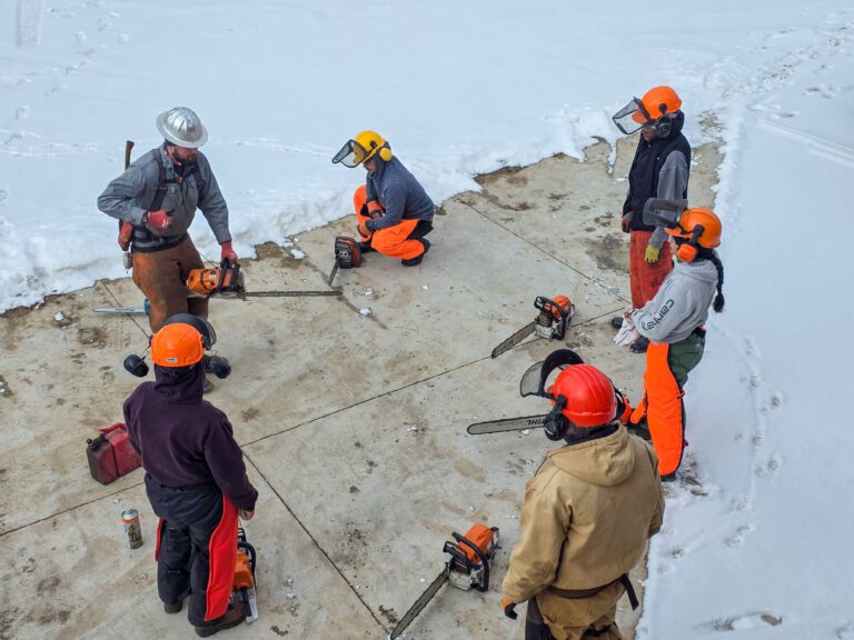 Cultivating community chainsaw skills