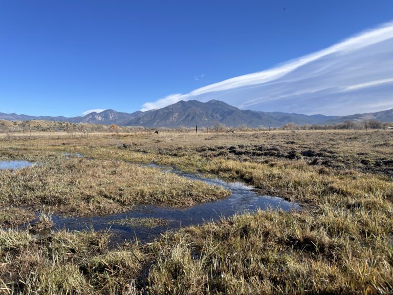 Earth Week Event: Seed to Tree, Mountain to River