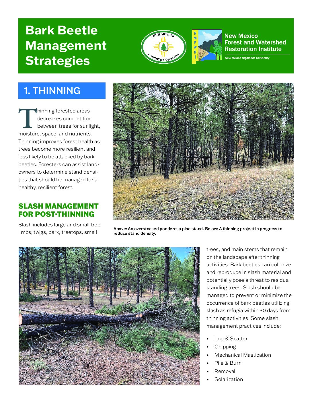 Bark Beetle Management Strategies, 2026, FIRENM Landowner Technical Guide