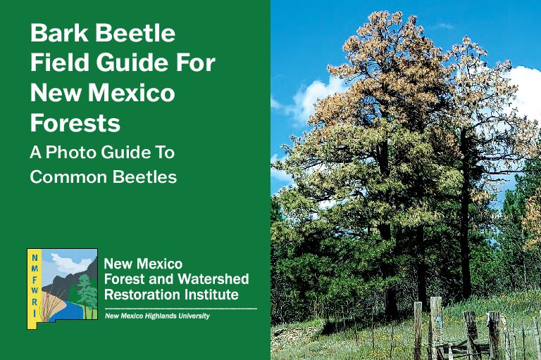 Bark Beetle Field Guide for New Mexico Forests: A Photo Guide to Common Beetles