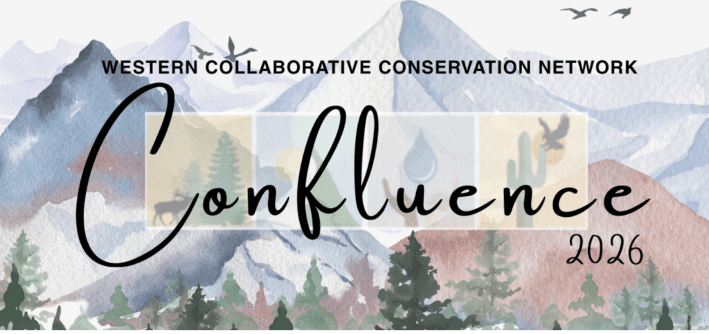 Reflections from Confluence 2026