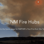 NM Fire Hub Template