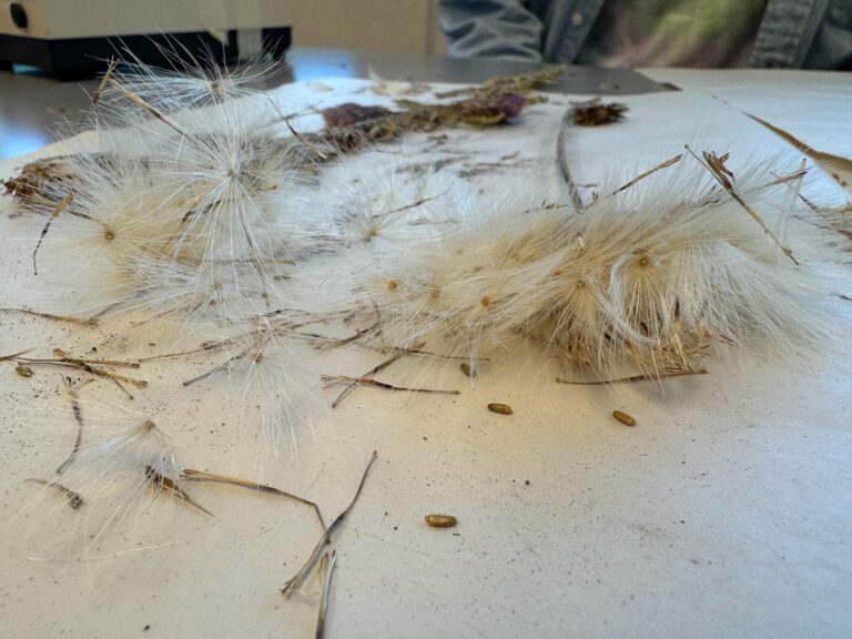 Team expands NMFWRI’s herbarium collection
