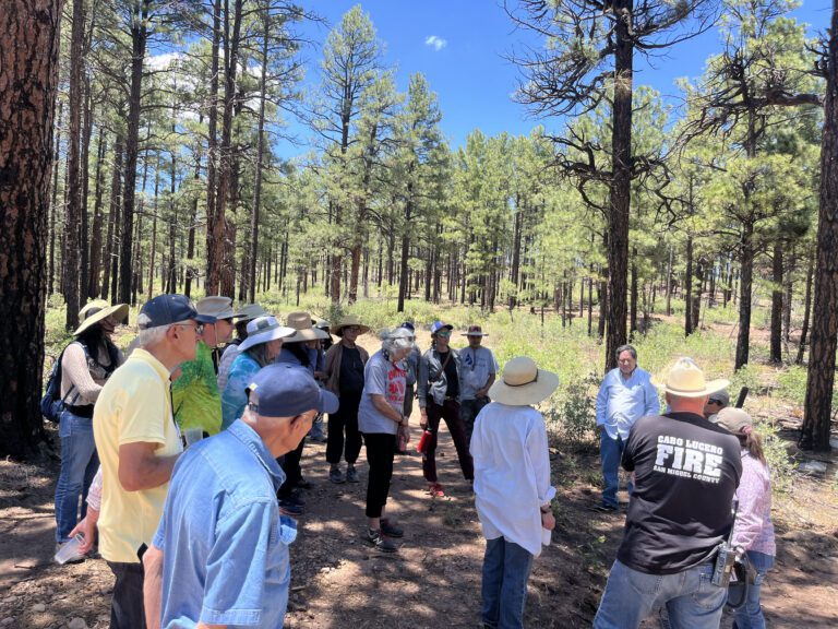 Workshop: Plants as Post-fire Restoration Tools