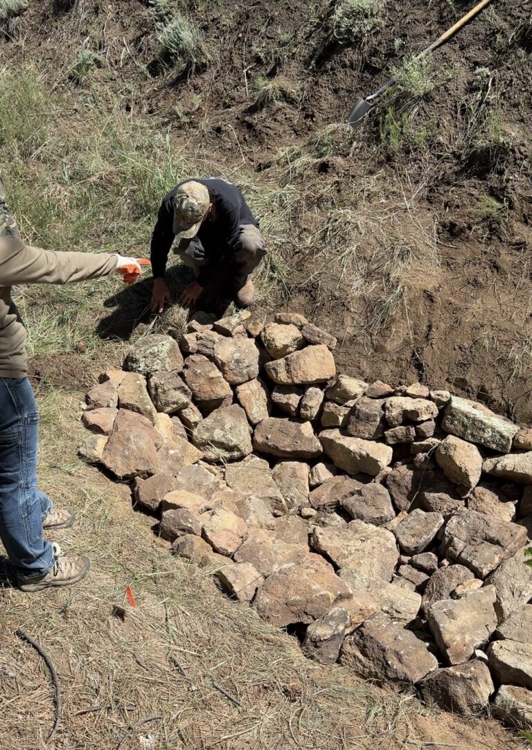 Restoring Waterways