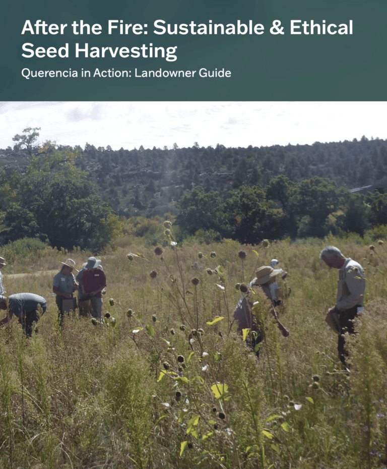New Resource Guide: Sustainable & Ethical Seed Harvesting 