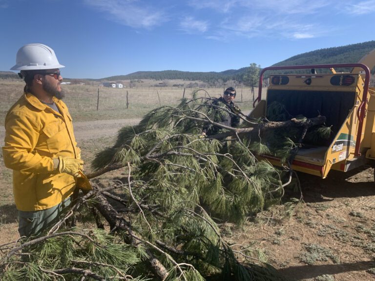 Organizing a Community Chipper Day to Reduce Wildfire Hazards