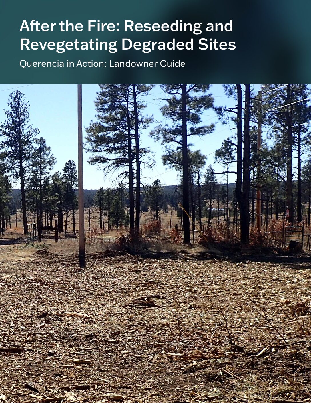 After the Fire: Reseeding and Revegetating