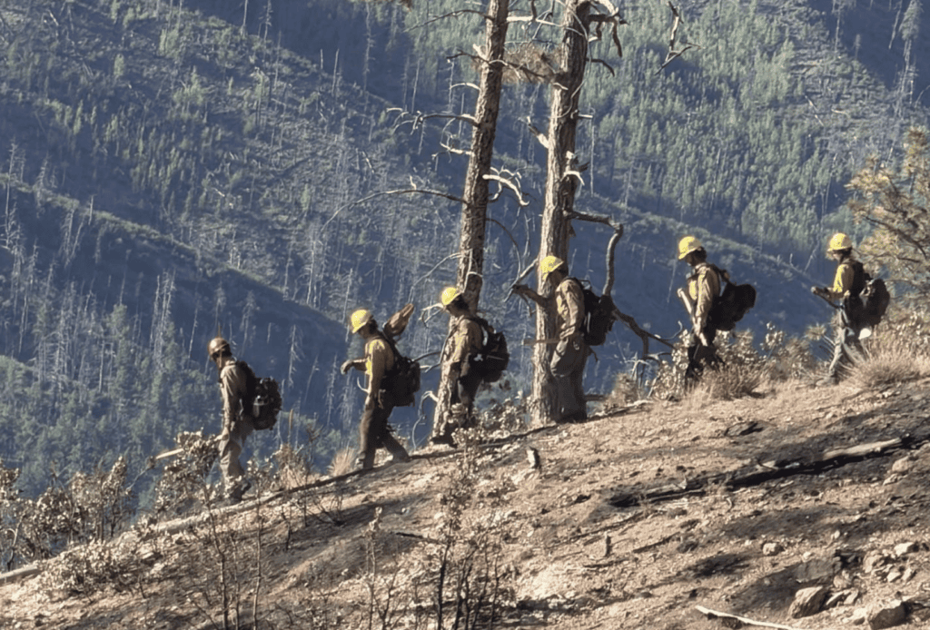Echoing Our State Forester’s Call