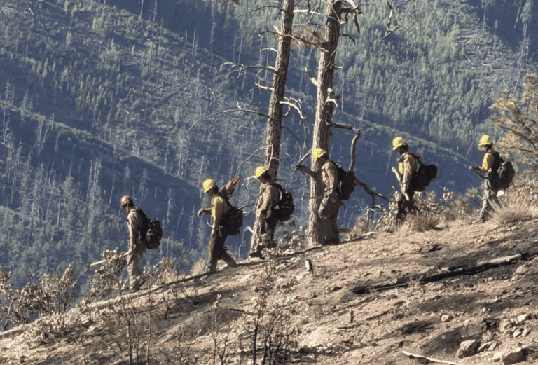 Echoing Our State Forester’s Call