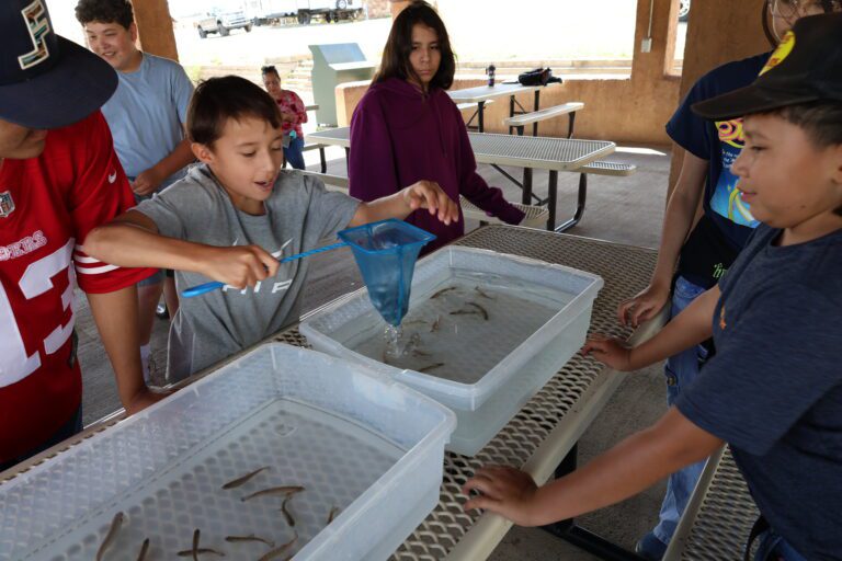 STEM Showdown highlights nature skills for students