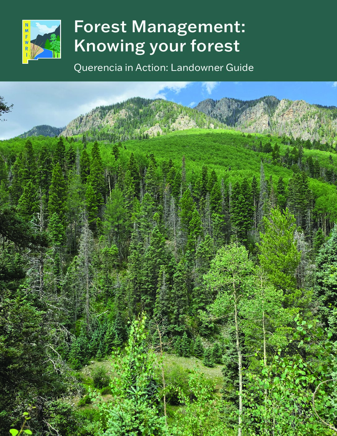 Forest Management: Knowing Your Forest