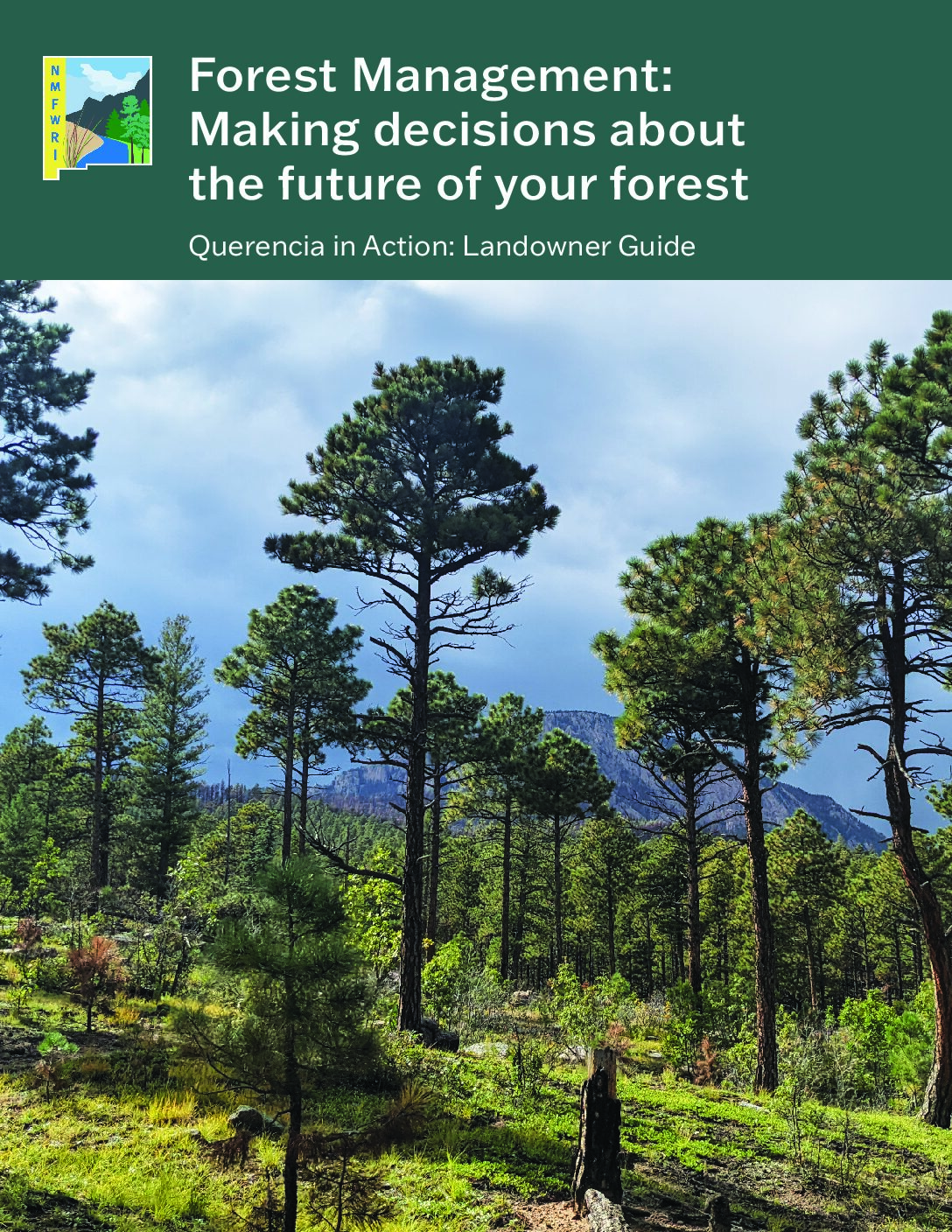 Forest Management: Making decisions about the future of your forest