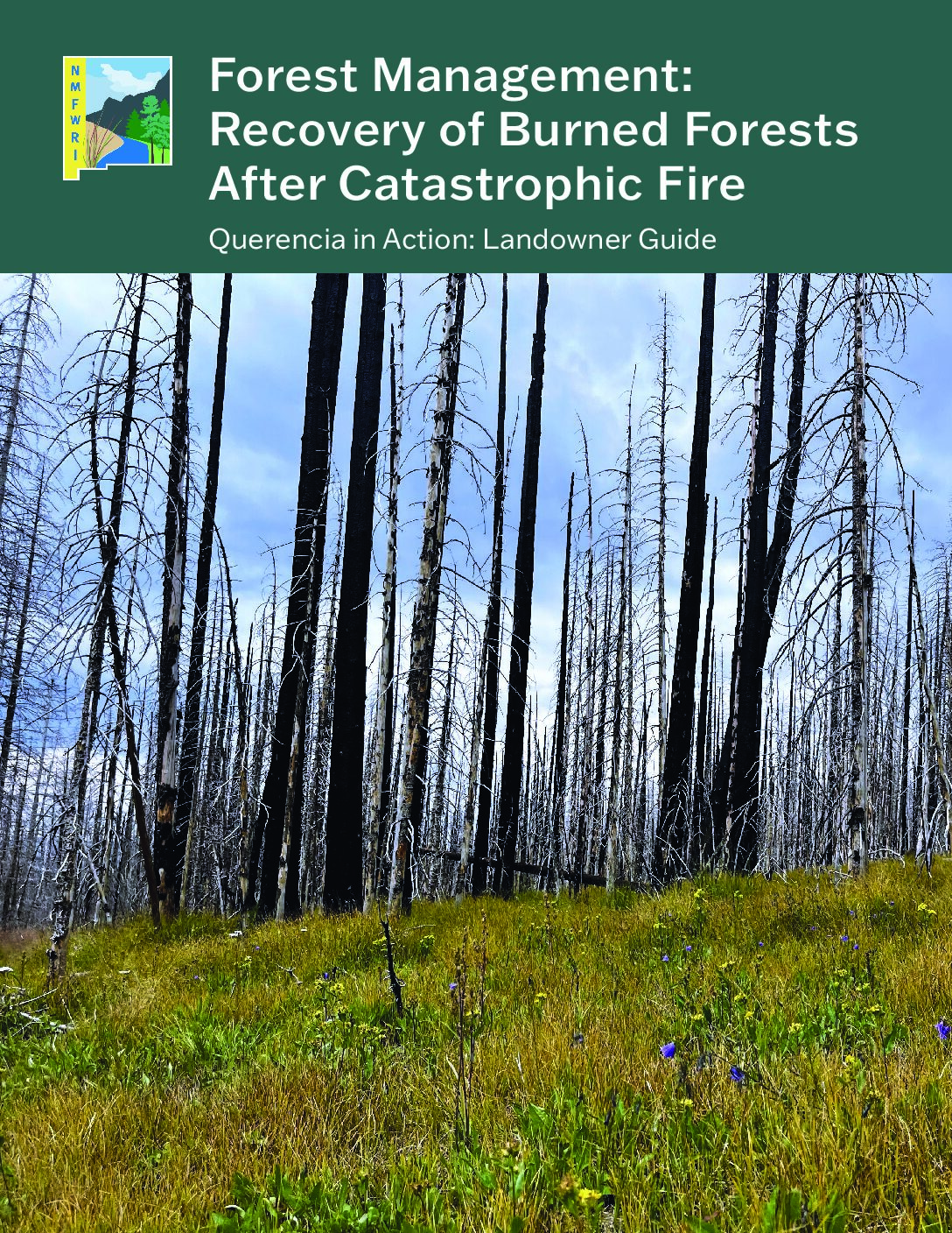 Forest Management: Recovery of Burned Forests