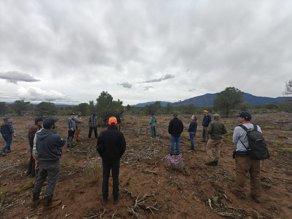 Several people stand in a semi-circle in a pinion and juniper forest area that has been thinned.