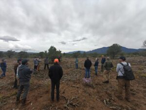 Several people stand in a semi-circle in a pinion and juniper forest area that has been thinned.
