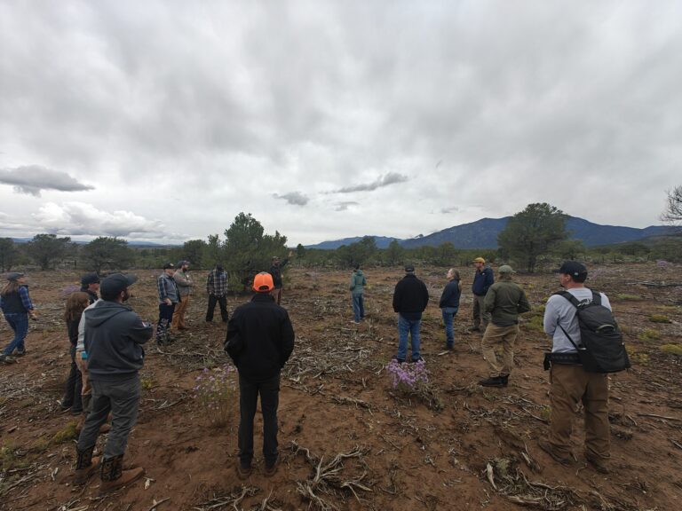 NM Prescribed Burn Council tours Taos sites